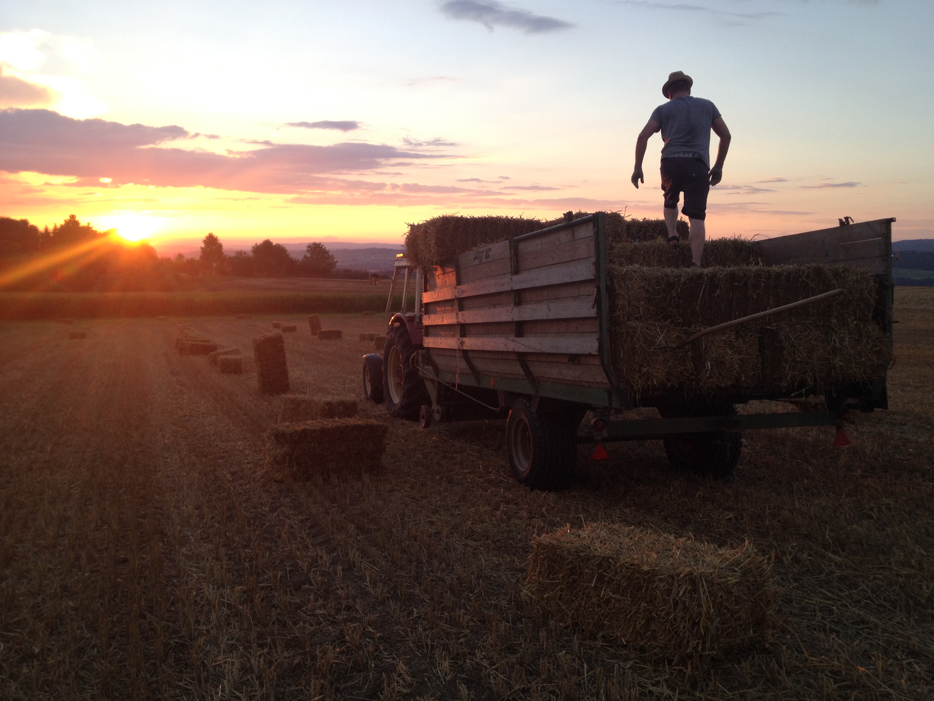 Aufladen der Strohballen im Sonnenuntergang